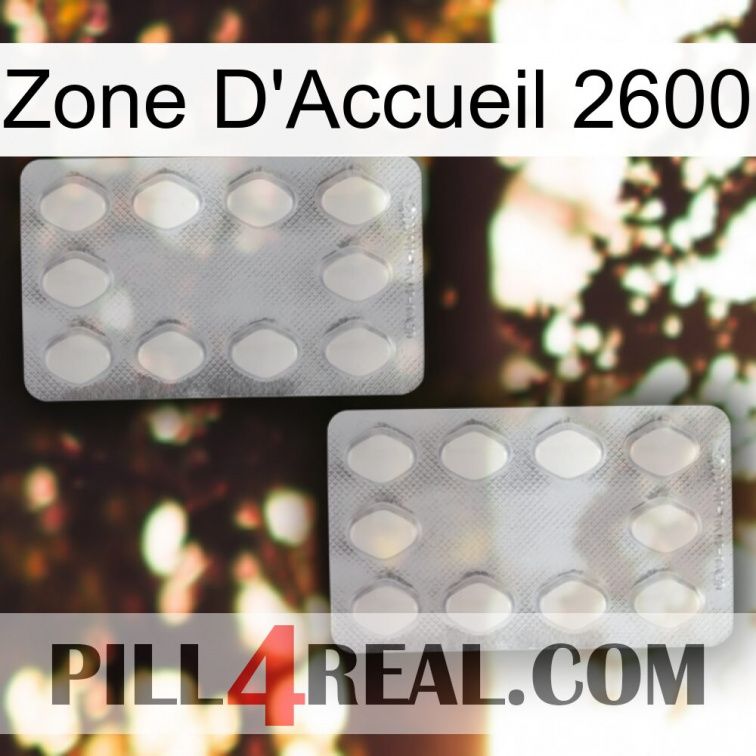 Home Zone 2600 17